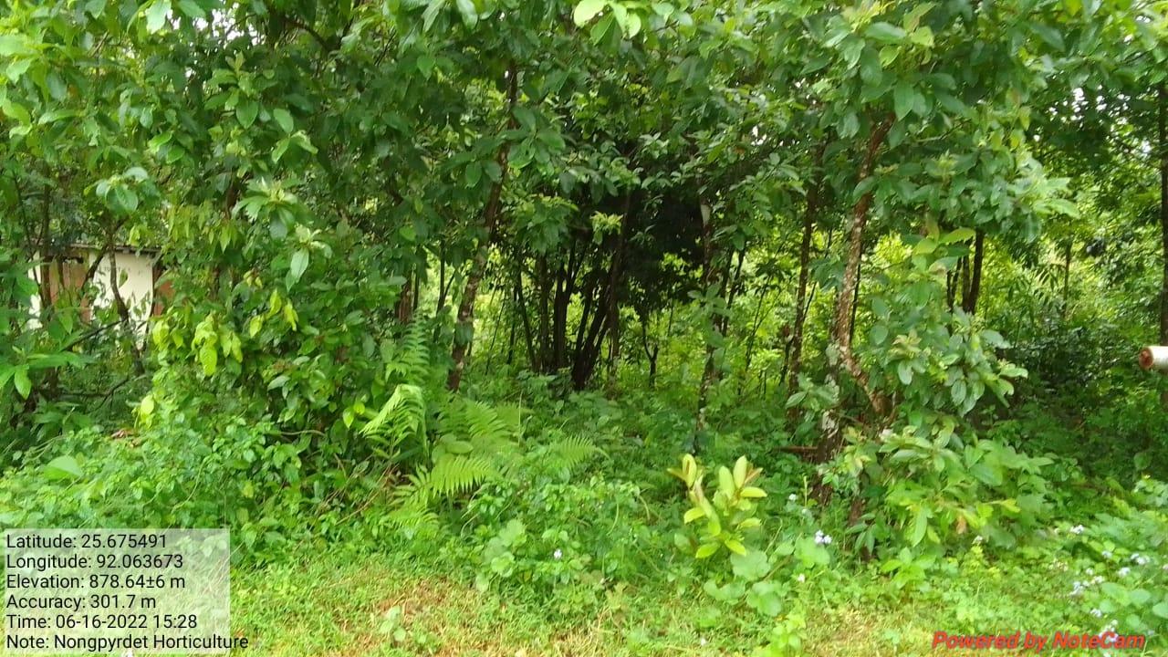 C:\Users\Lavinia Pde\Desktop\nongpyrdet\Nongpyrdet\WhatsApp Image 2023-02-02 at 14.42.33.jpeg